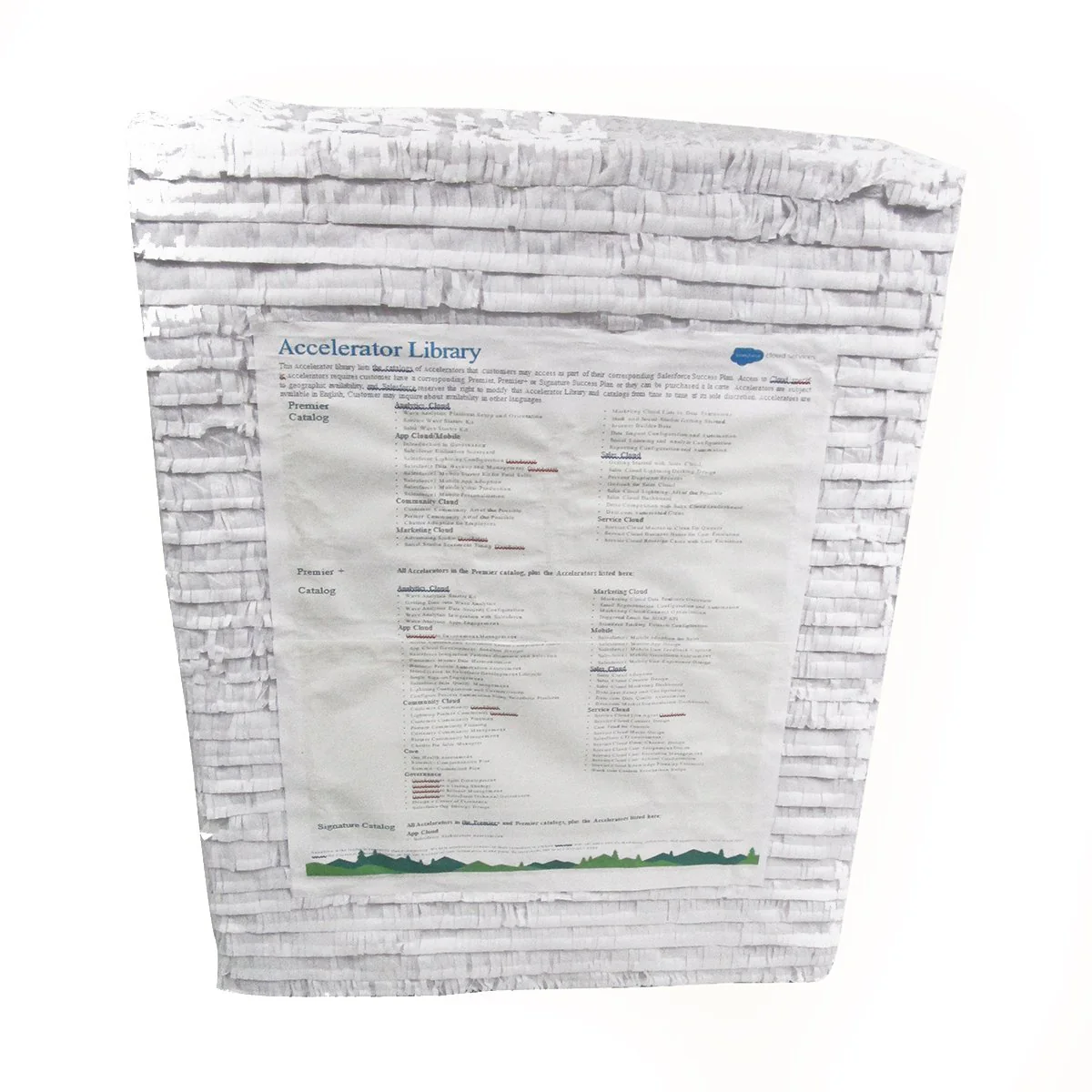 Custom Accelerator Library Pinata