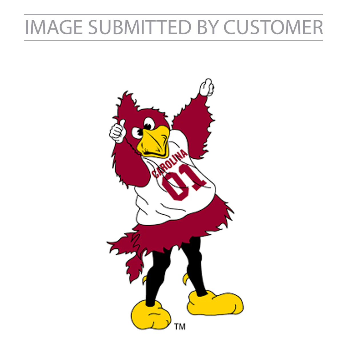 Cocky Mascot University of South Carolina - Image 2