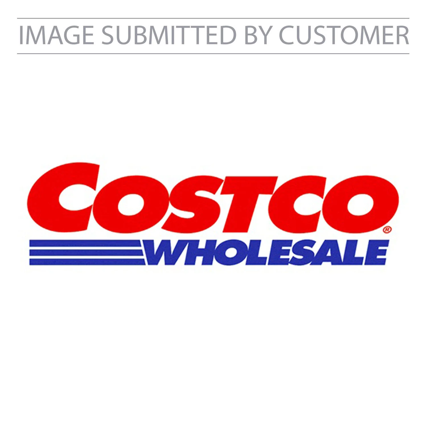 Costco Wholesale Custom Pinata - Image 2