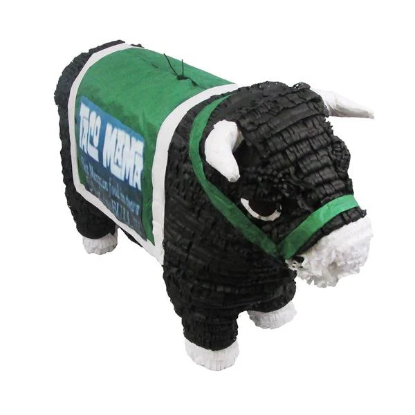 Custom Animal Pinata - Image 12