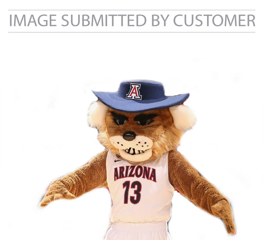 Arizona Mascot Custom Pinata - Image 2