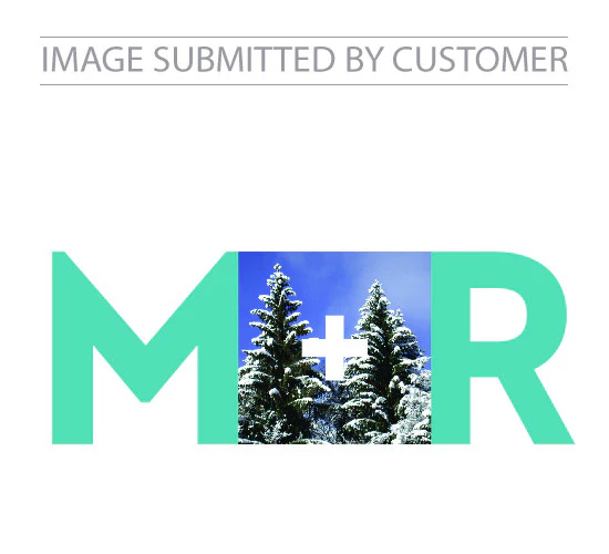 M+R Logo Custom Pinata - Image 2