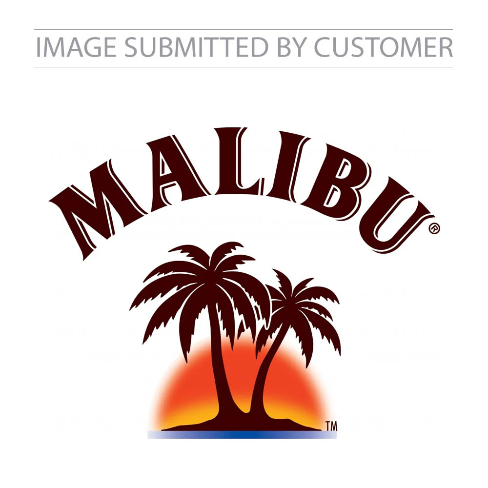 Custom Malibu Logo Pinata - Image 2