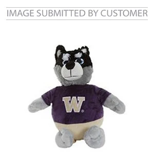 W Raccoon Custom Pinata - Image 2
