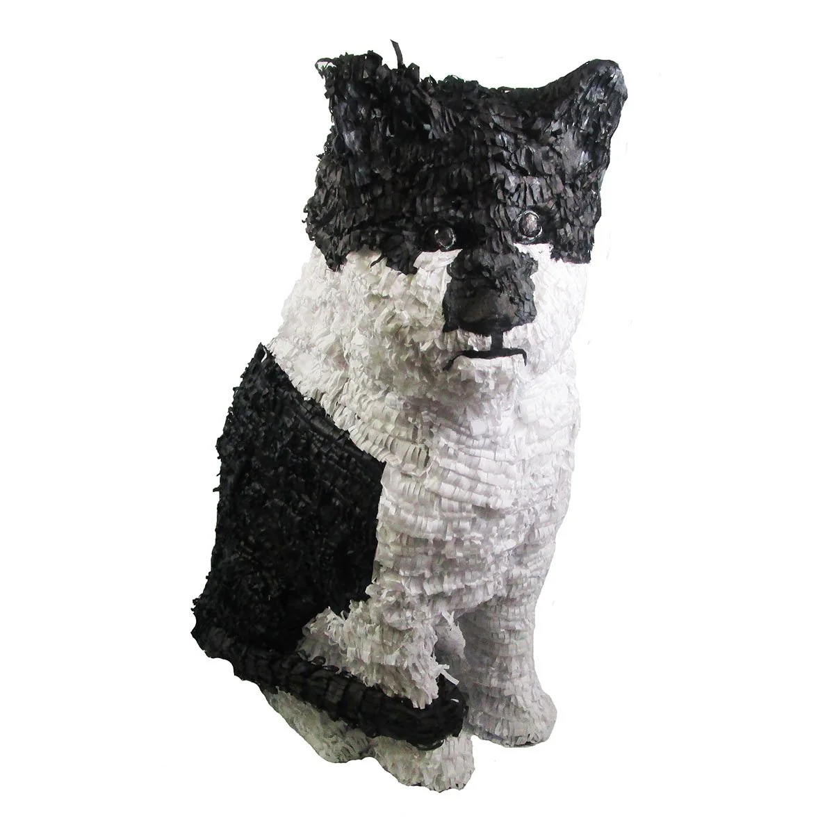 Custom Cat Pinata