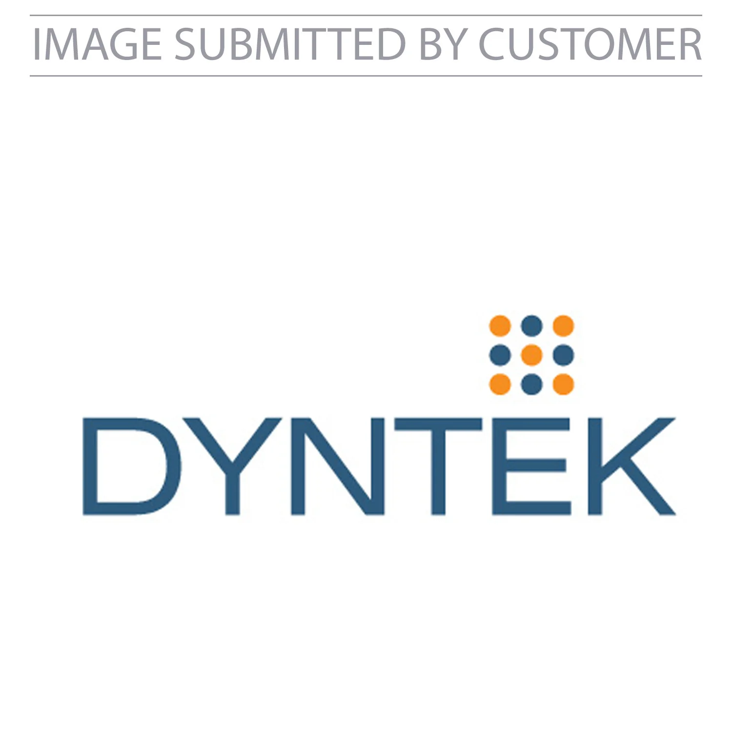 Dyntek Logo Custom Pinata - Image 2