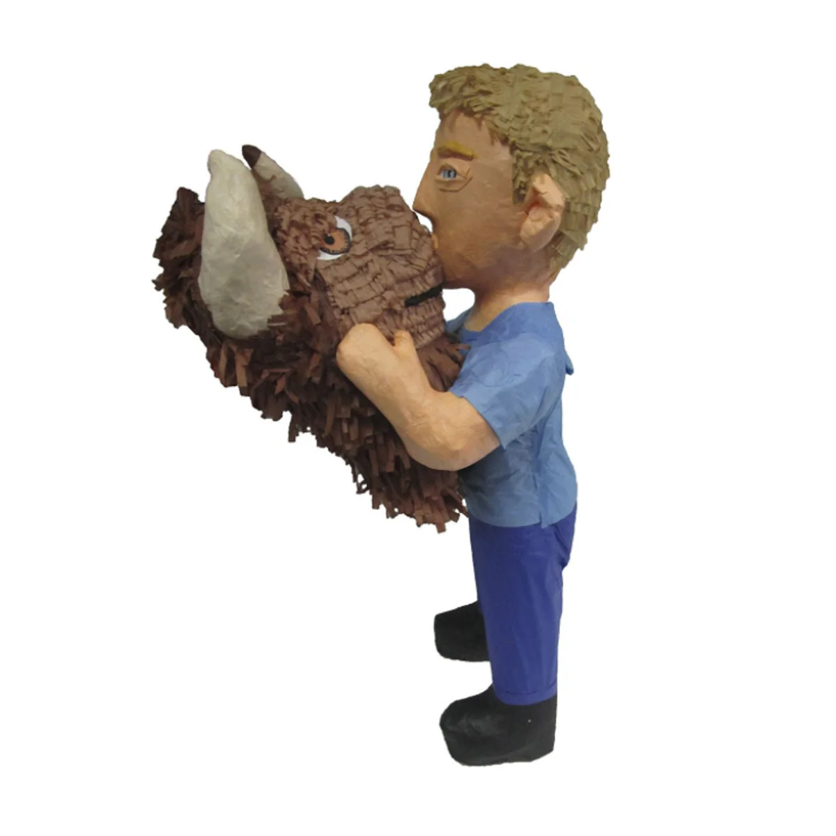 Funny Pic Pinata