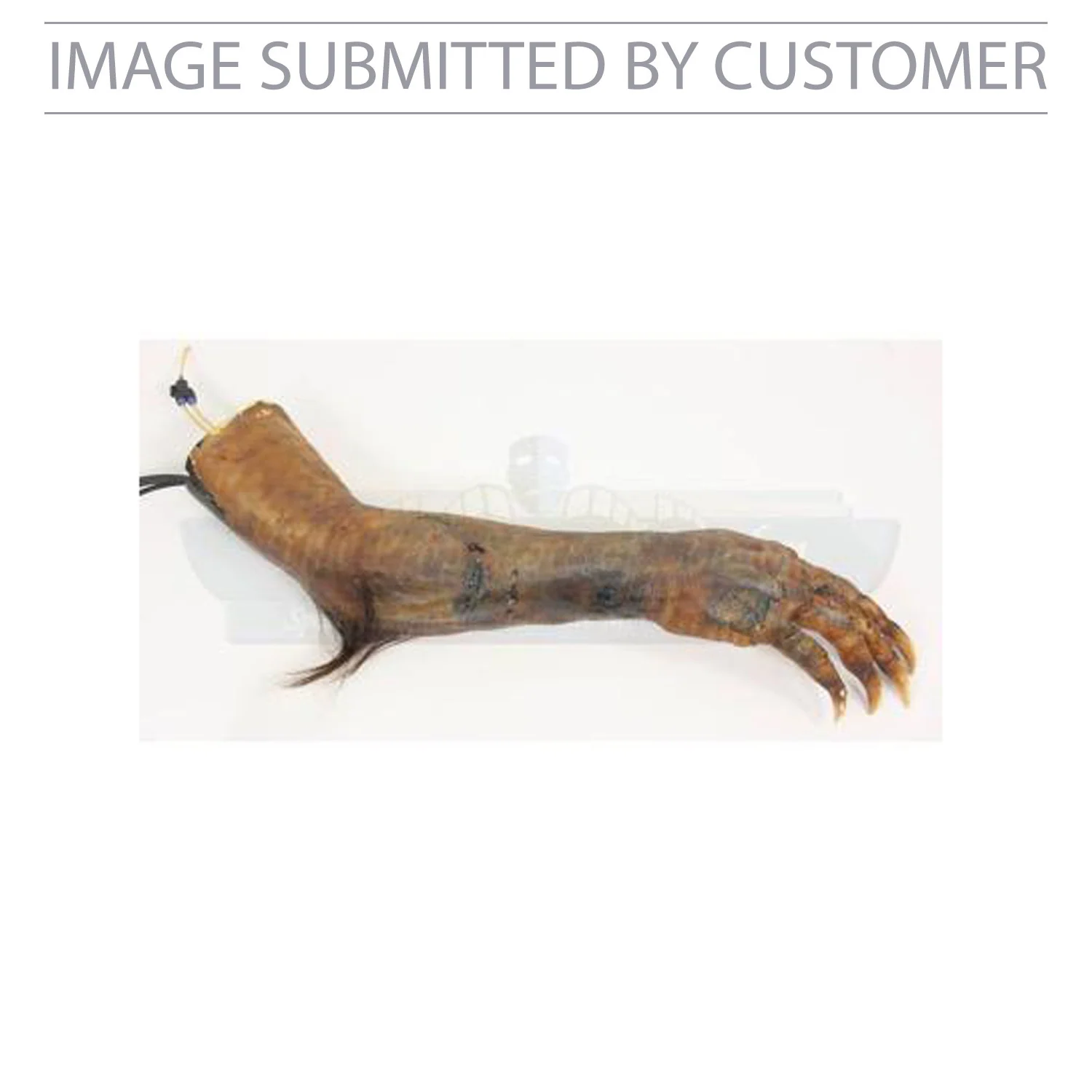 Grendels Arm Custom Pinata - Image 2