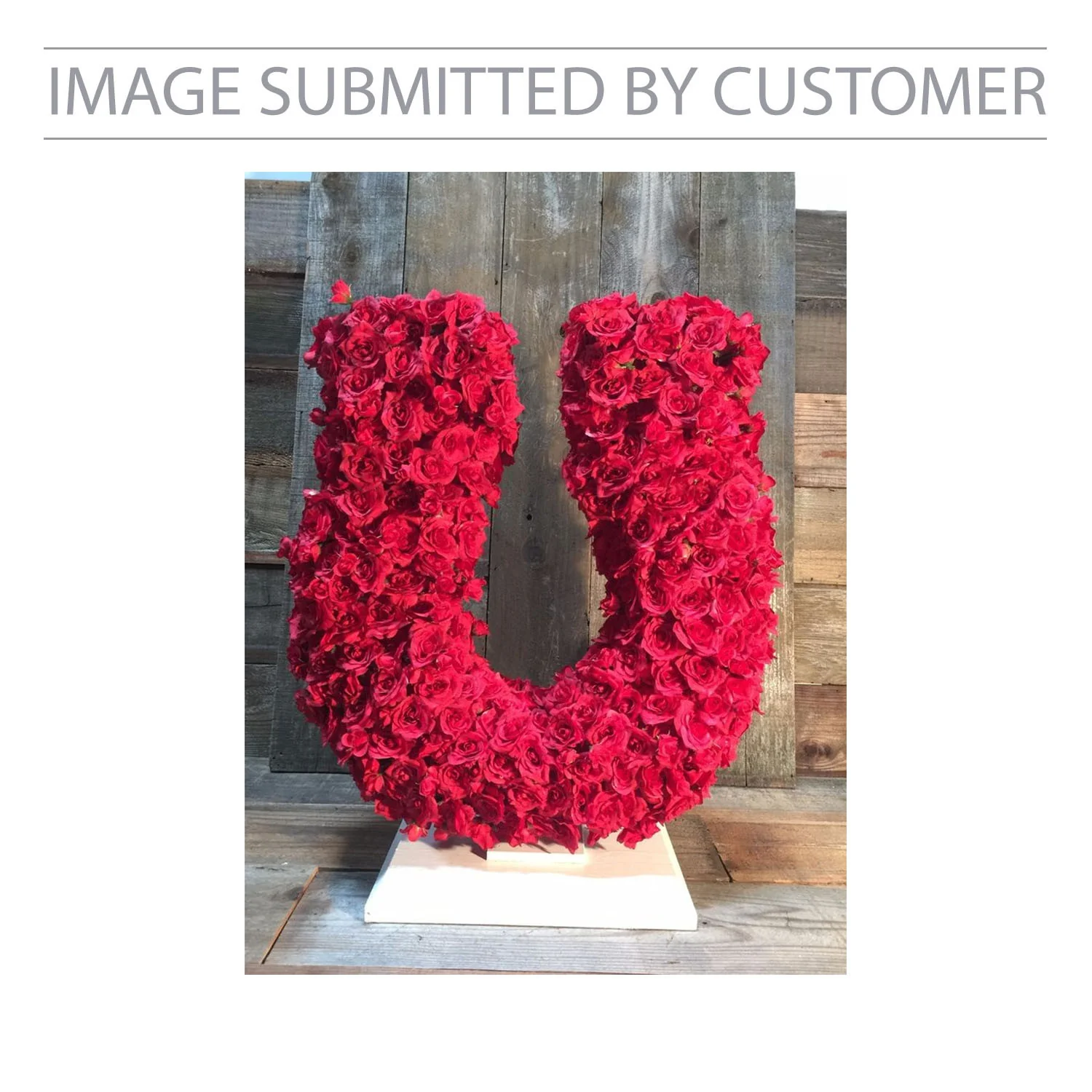 Horseshoe Custom Pinata - Image 2
