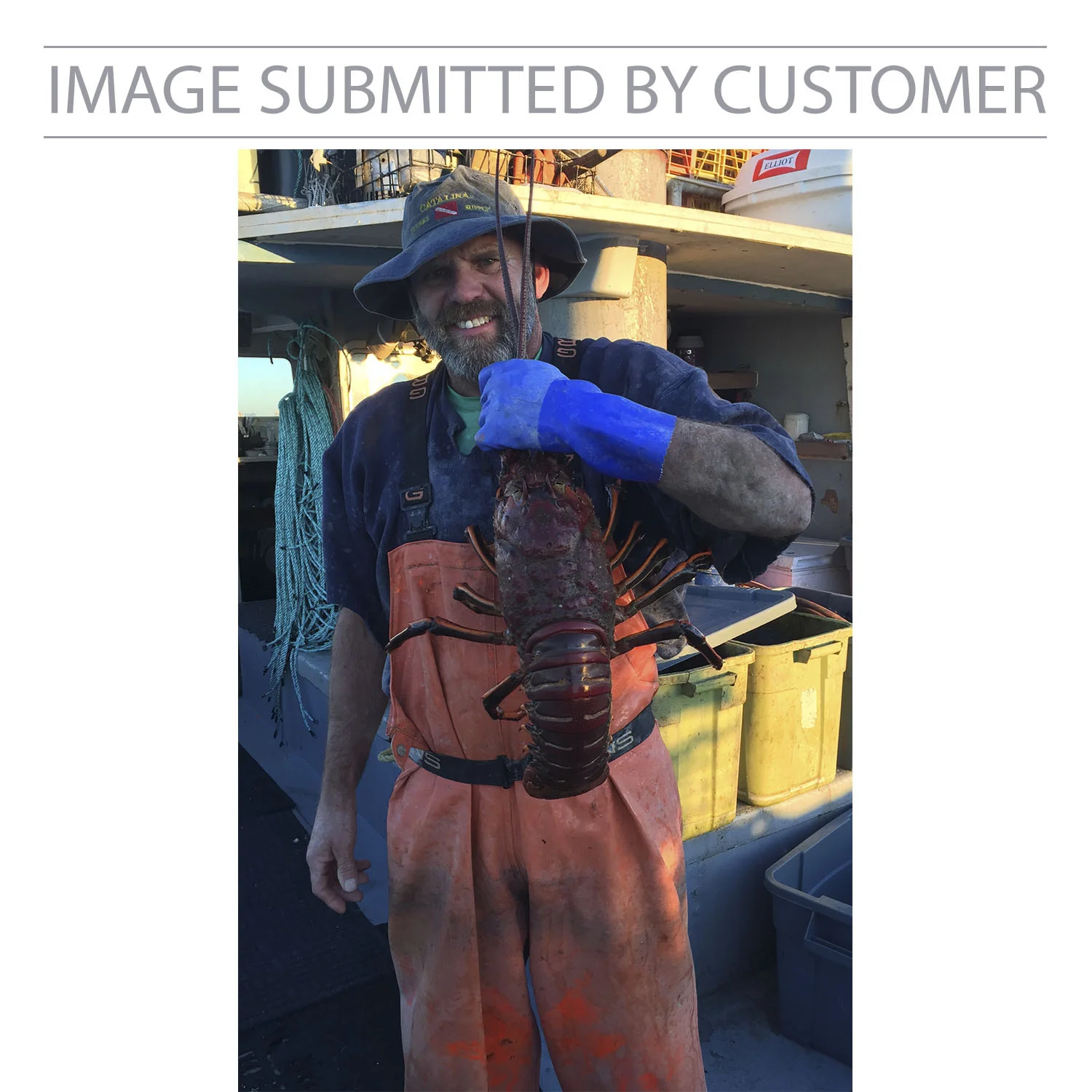Man with Lobster Custom Pinata - Image 2