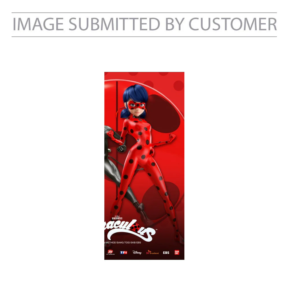Miraculous Ladybug Custom Pinata - Image 2
