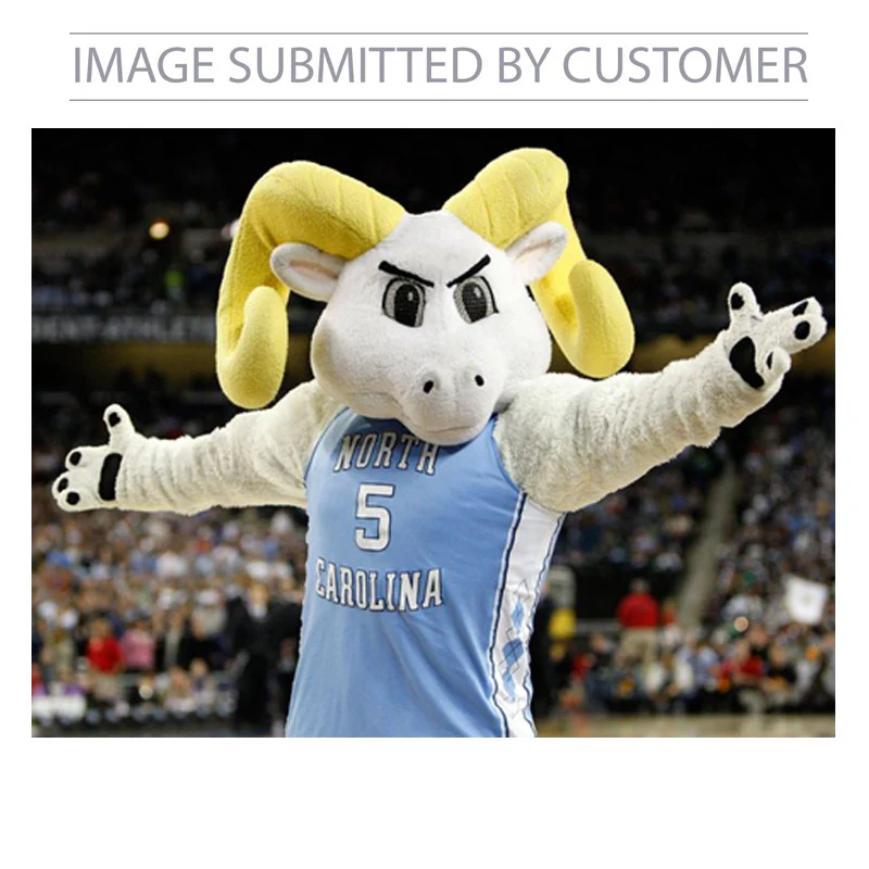 North Carolina Tar Heels Custom Pinata - Image 2