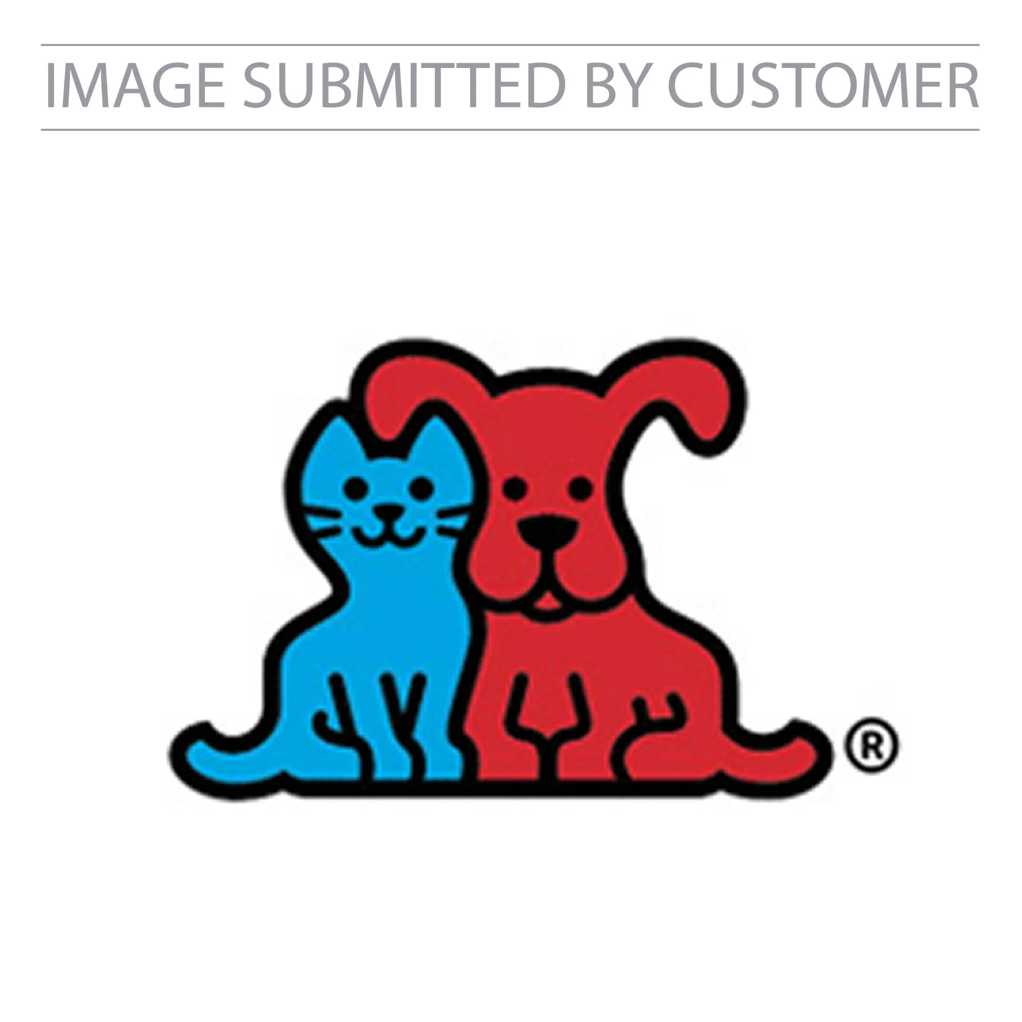 Petco Custom Pinata - Image 2