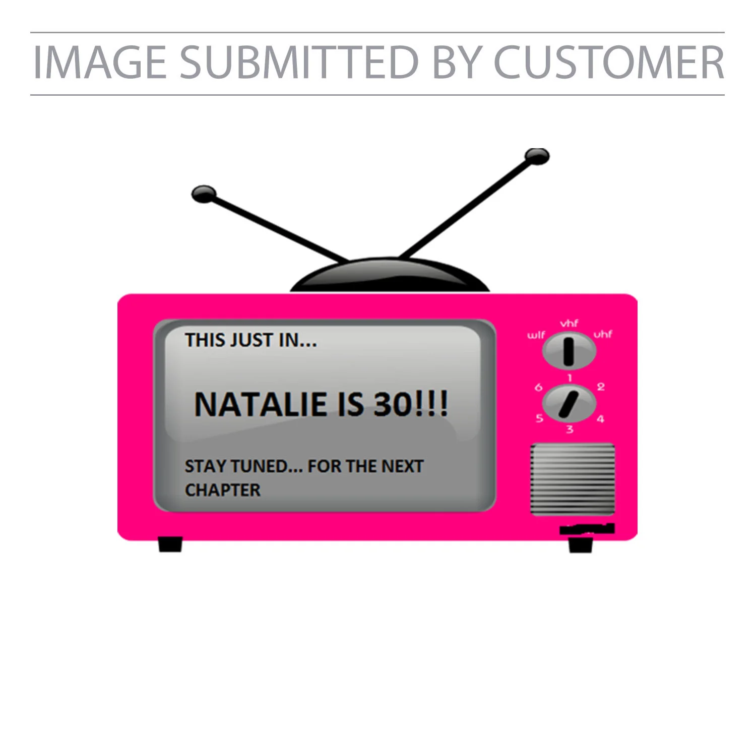 Pink TV Custom Pinata - Image 2