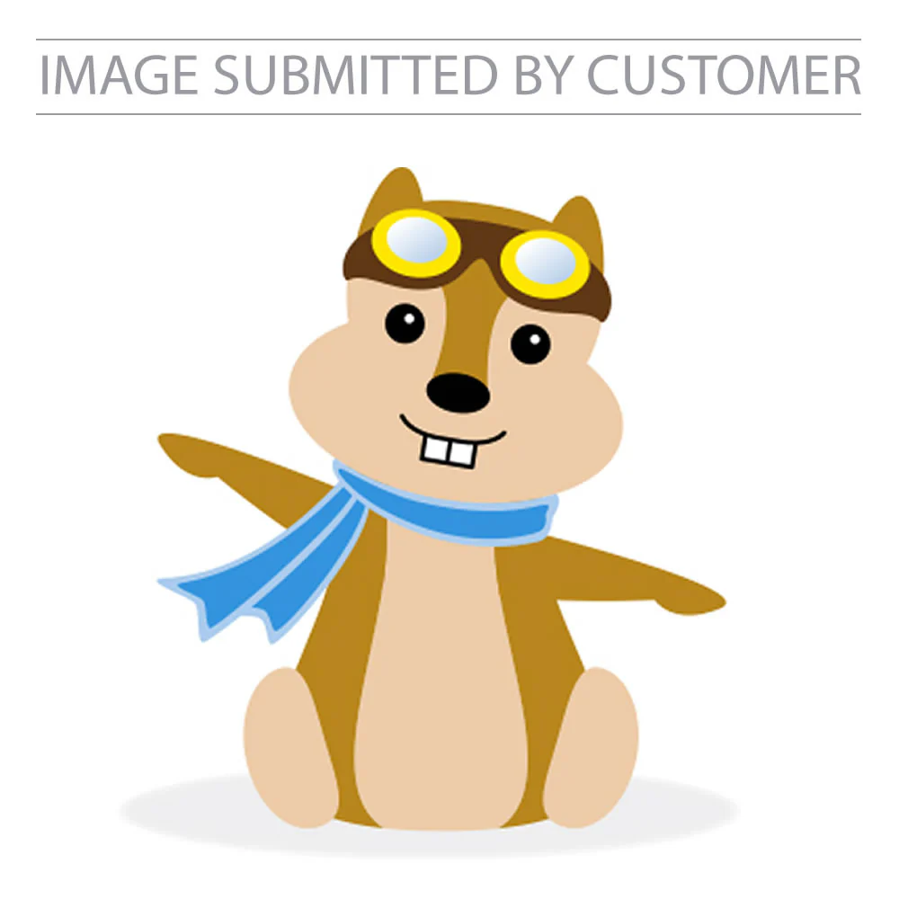 Squirrel Custom Pinata - Image 2