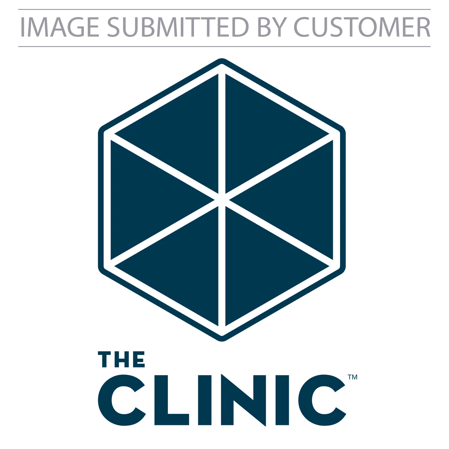 The Clinic Logo Custom Pinata - Image 2
