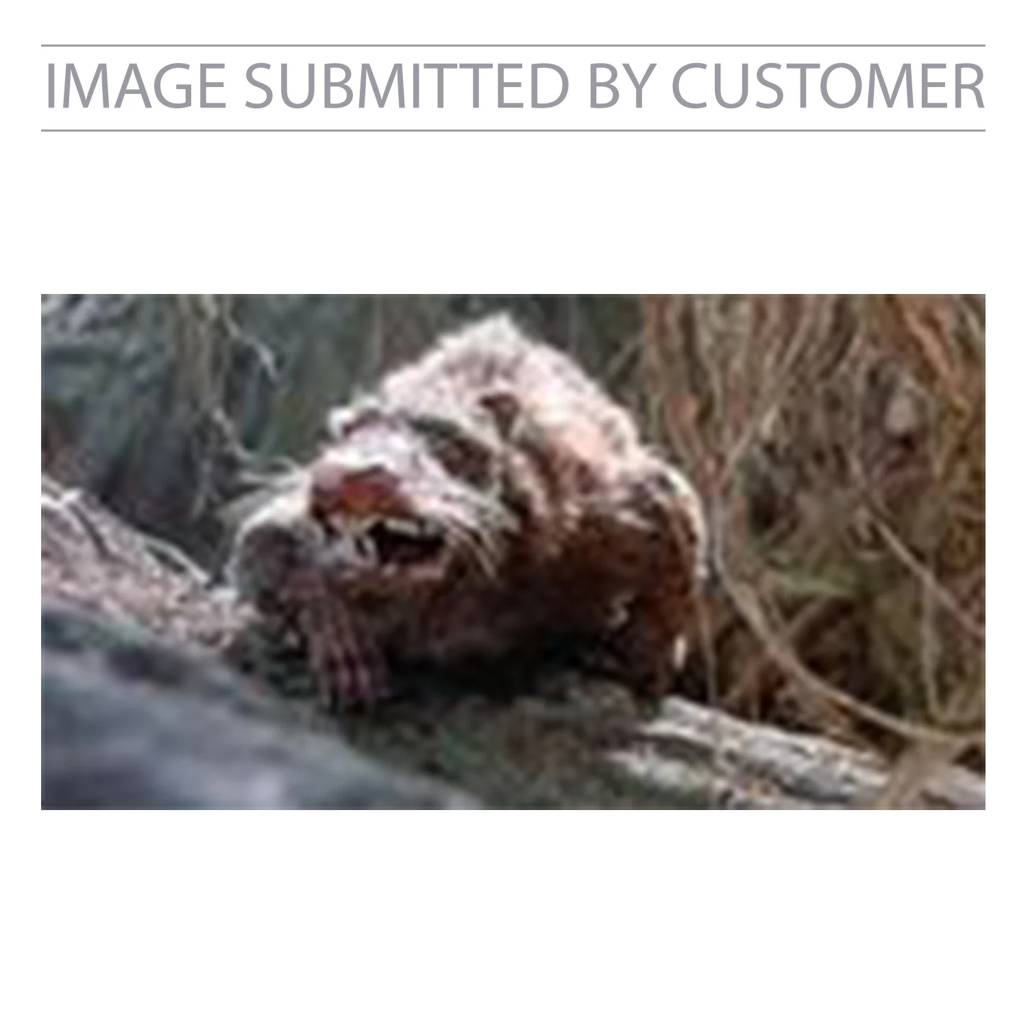 The Princess Bride Rodent Custom Pinata - Image 2