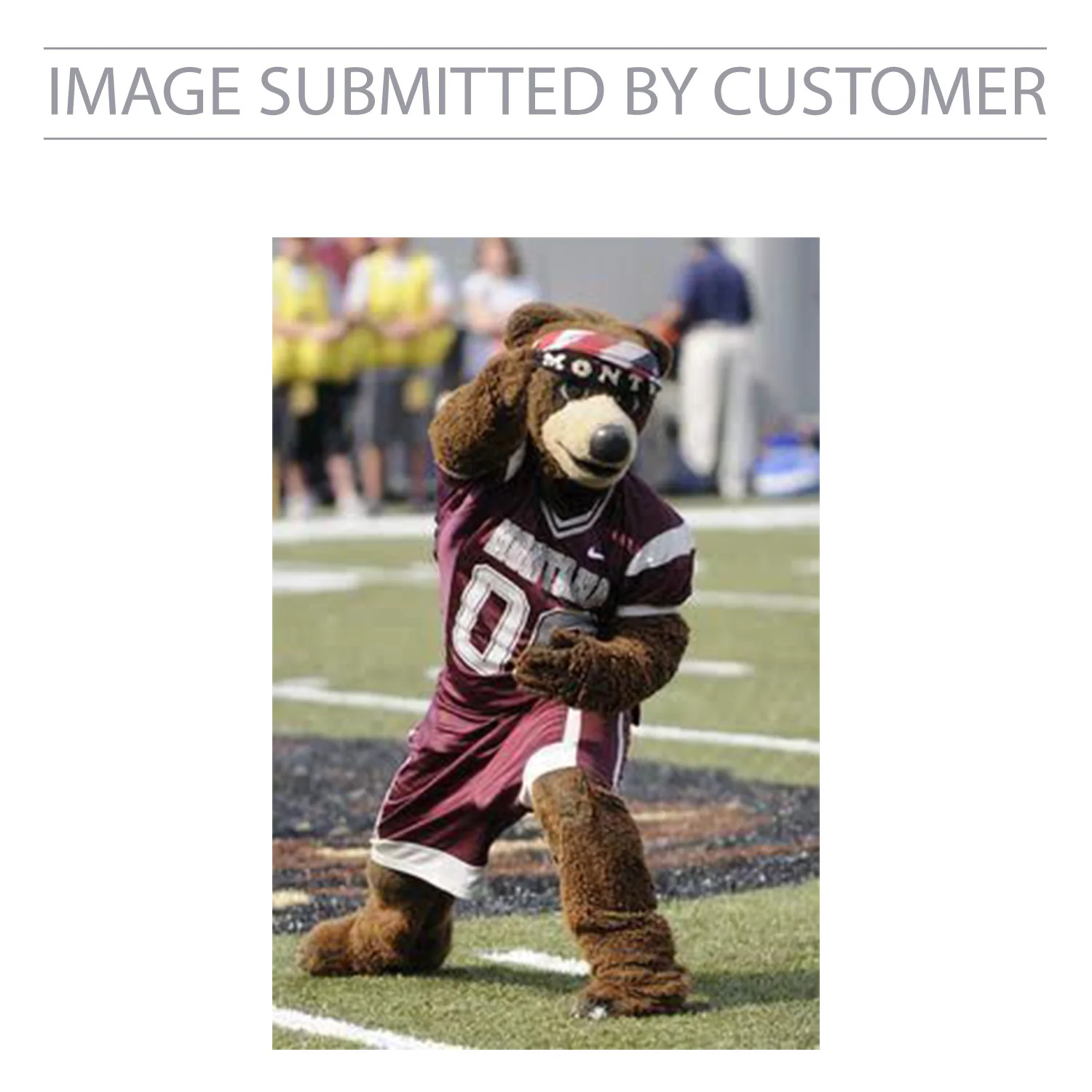 The University of Montana Mascot Custom Pinata - Image 2