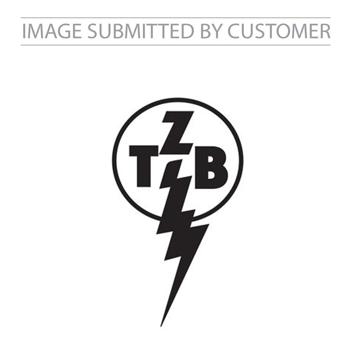 TZB Logo Custom Pinata - Image 2