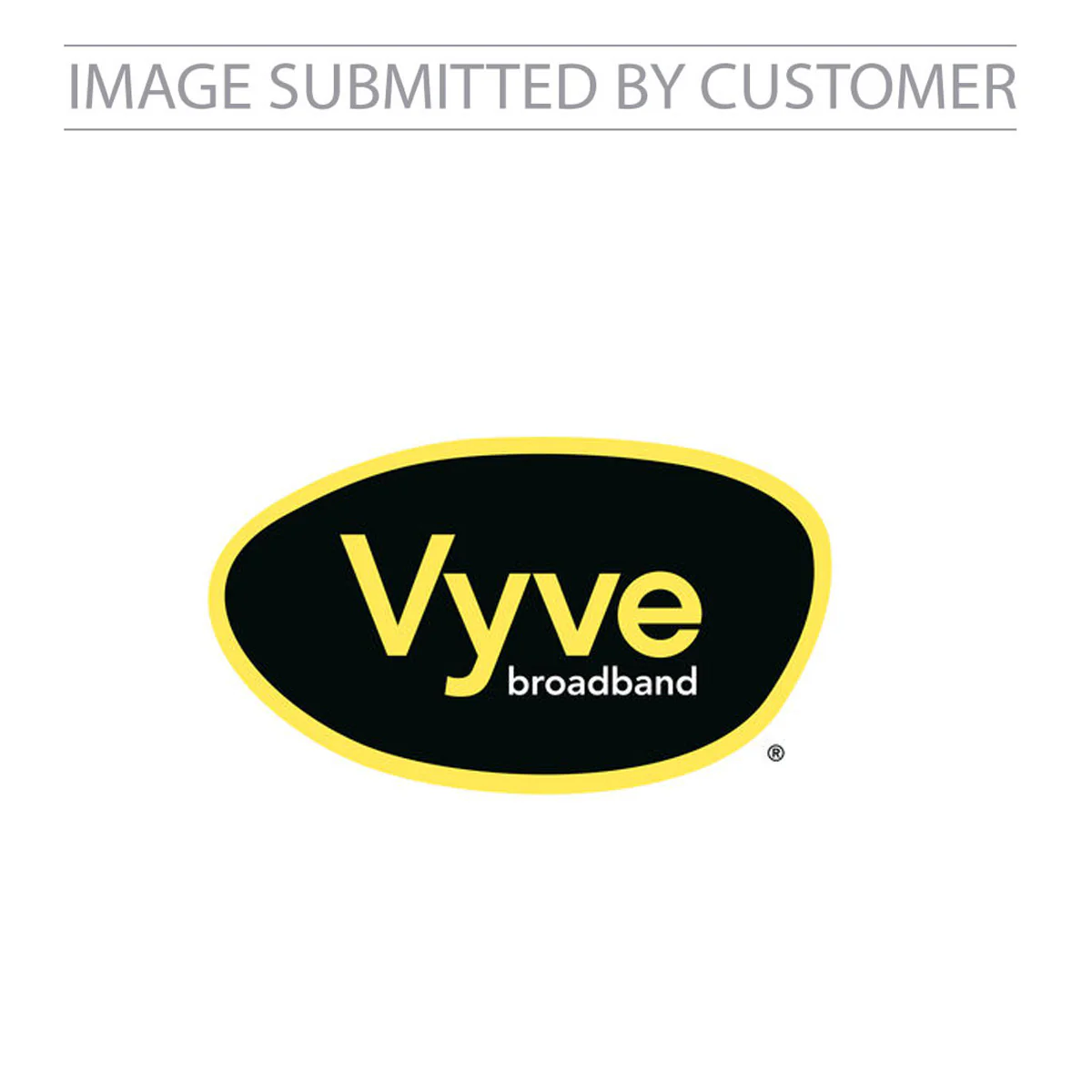 Vyve Broadband Logo Custom Pinata - Image 2